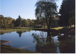Large Pond on Clear Day