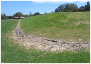 Pasture and Covered Ditch